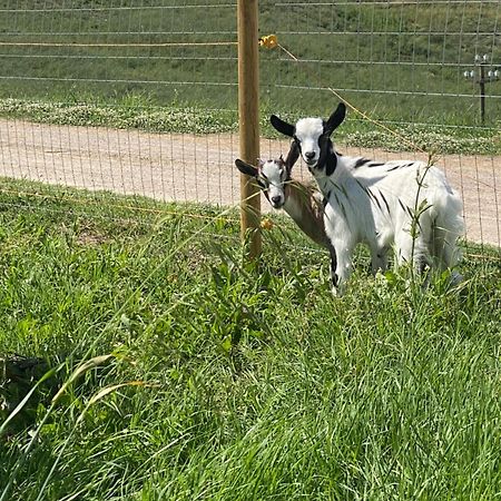 Certine Agriturismo أسكيانو المظهر الخارجي الصورة
