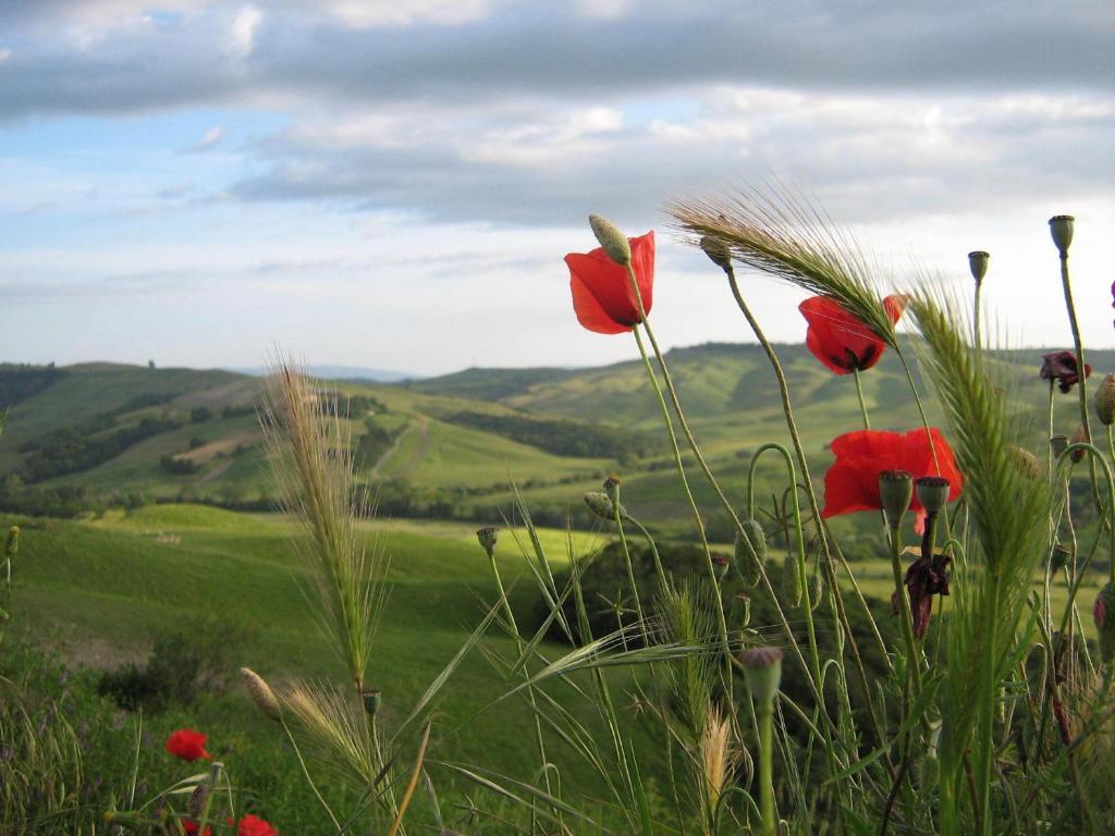 Certine Agriturismo أسكيانو المظهر الخارجي الصورة