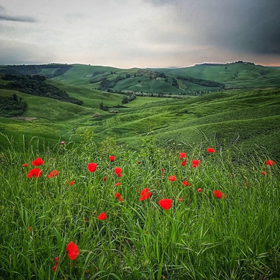 Certine Agriturismo أسكيانو المظهر الخارجي الصورة